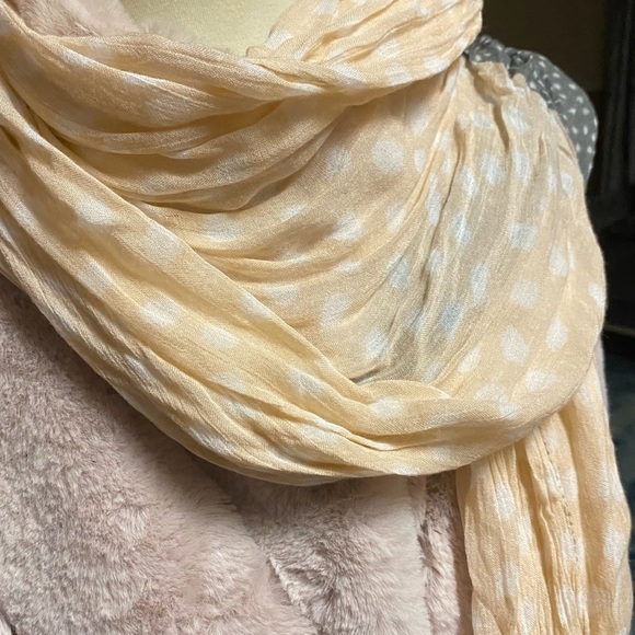 LOFT Gauzy Pashmina in Cream and Gray - Picture 4 of 4